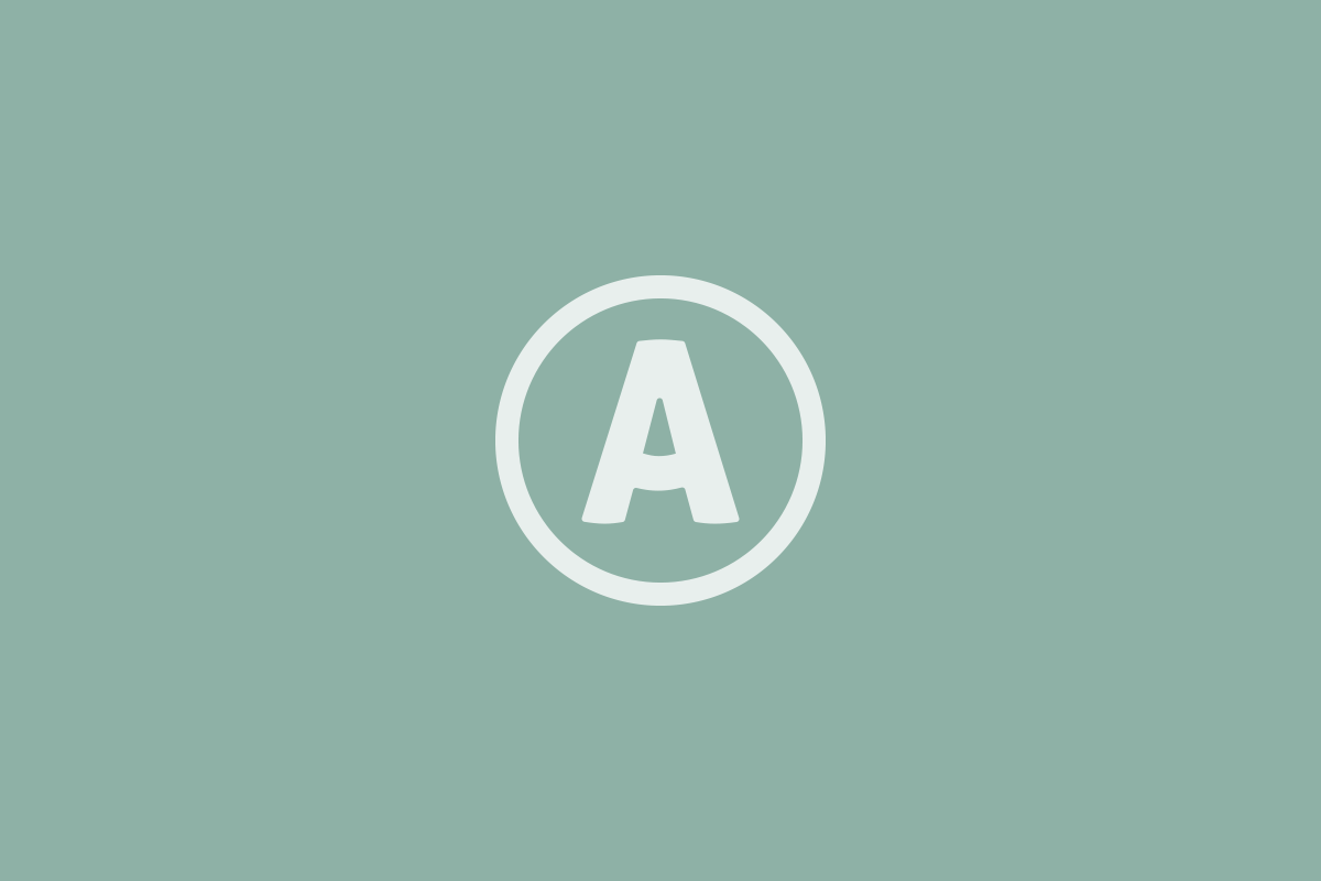 agency-three | BlindSeer